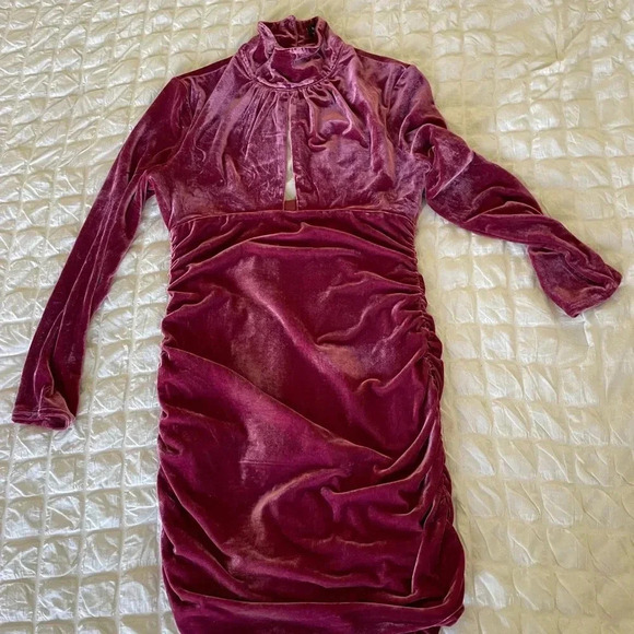 Bardot pink velour ruched dress - Picture 1 of 12